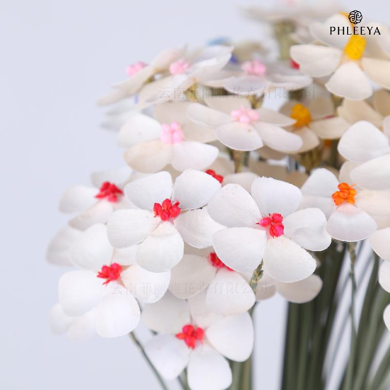 Hoa khô trang trí Hoa violet khô DIY hoa trang trí nhà cửa hoa giả (HK-27)