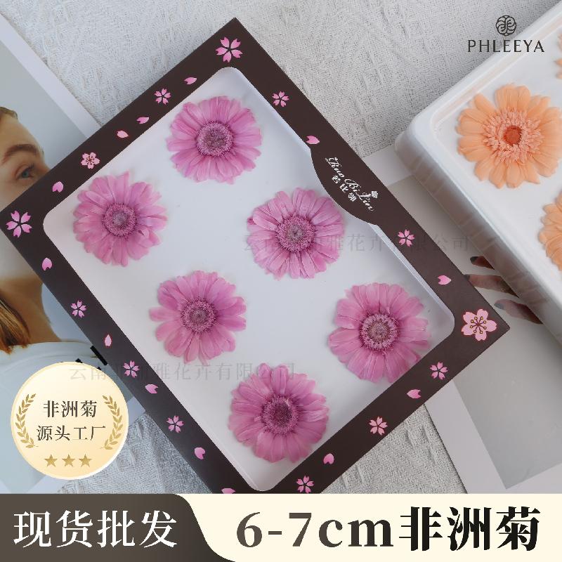 Hoa khô trang trí Hoa hồng vĩnh cửu phối đồng tiền DIY bó hoa quà tặng cao cấp (HK-13)