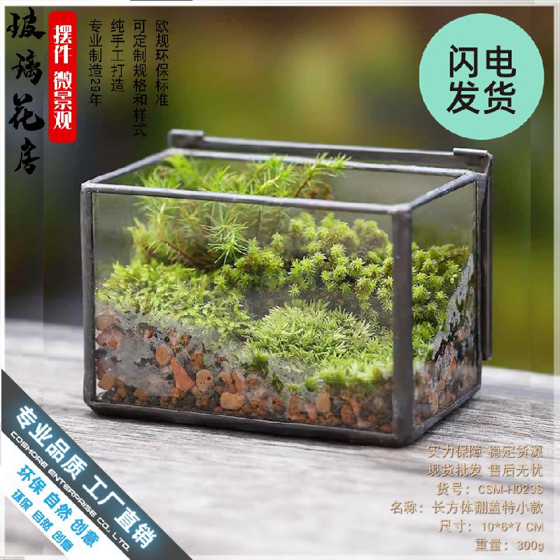 Chậu Đa Giác Hộp kính Terrarium rêu cảnh để bàn (DG-13)
