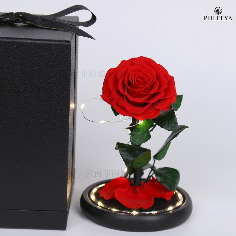 Hoa khô trang trí Hoa hồng vĩnh cửu hộp mica Hoàng tử bé quà Thất Tịch Valentine (HK-42)