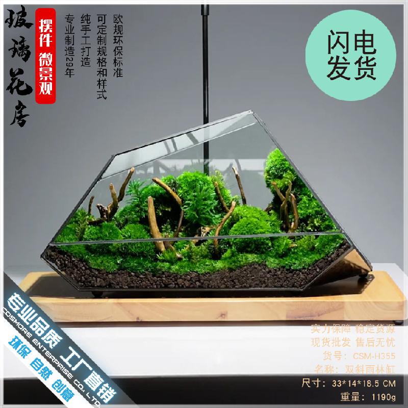 Chậu Đa Giác DG-3 Hộp gỗ, hồ nước rừng, thảm thực vật, cảnh quan nhỏ, hình học kính, thủy tinh, hộp che phủ, trang trí nhà cửa