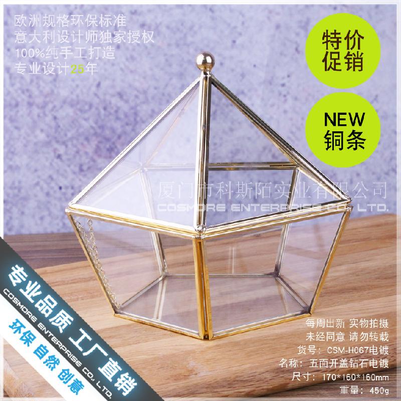 Chậu Đa Giác Hộp kính hoa bất tử, hộp trang sức 5 mặt (DG-179)