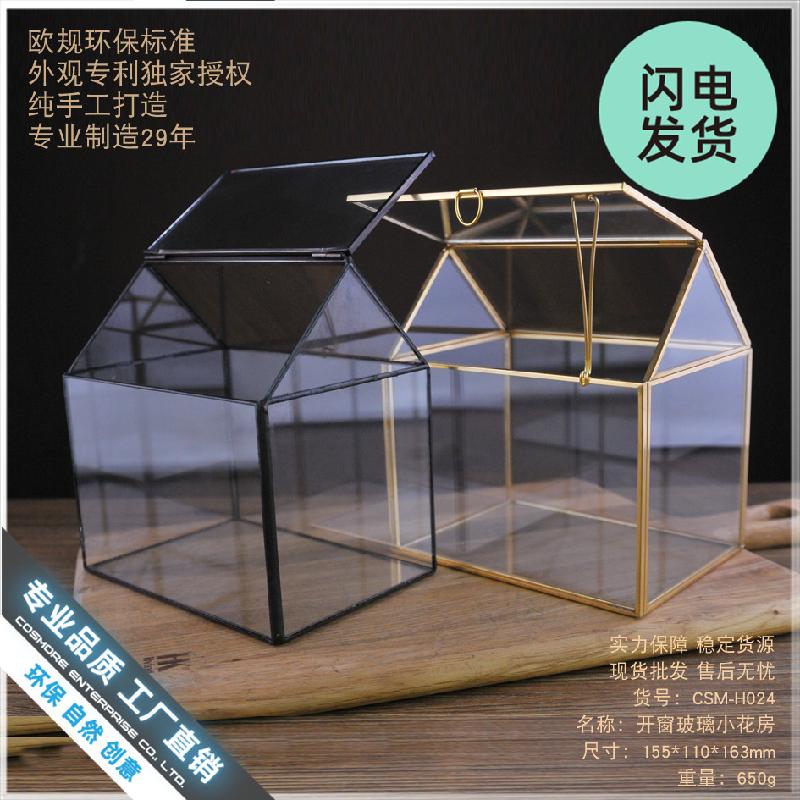 Chậu Đa Giác Bể kính tạo cảnh rừng mini (DG-9)