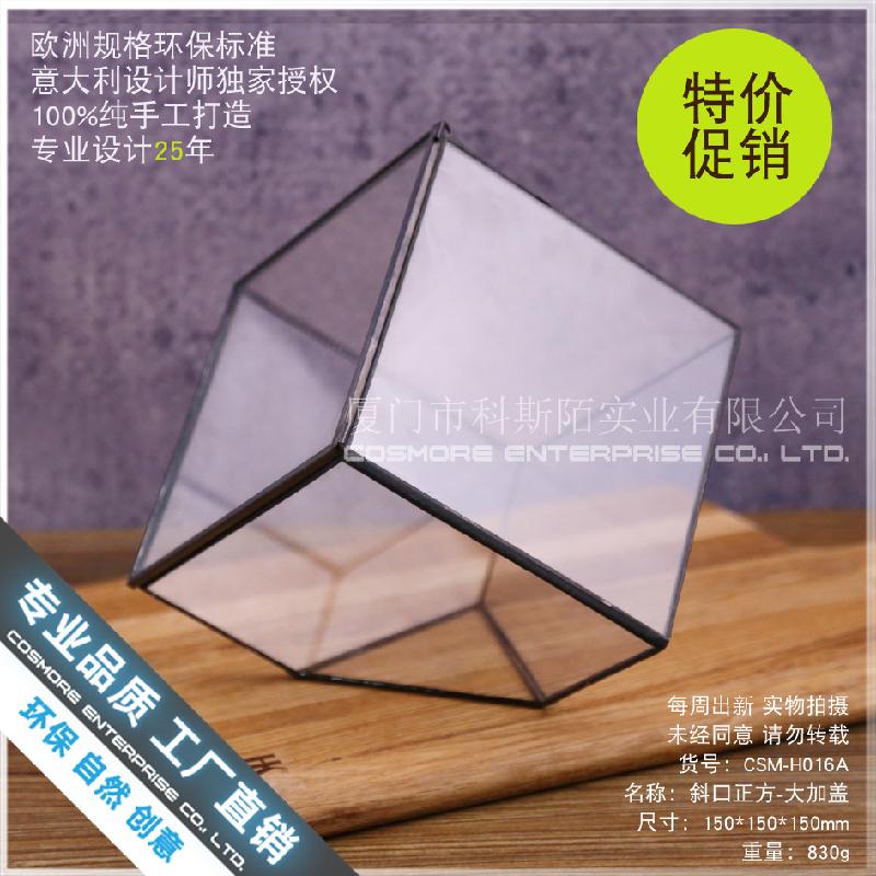 Chậu Đa Giác Nhà kính vuông lớn nắp kính, rêu cảnh (DG-73)