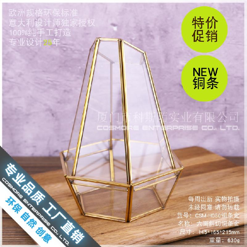 Chậu Đa Giác Nhà kính 6 mặt cắt, Terrarium rêu cảnh (DG-167)