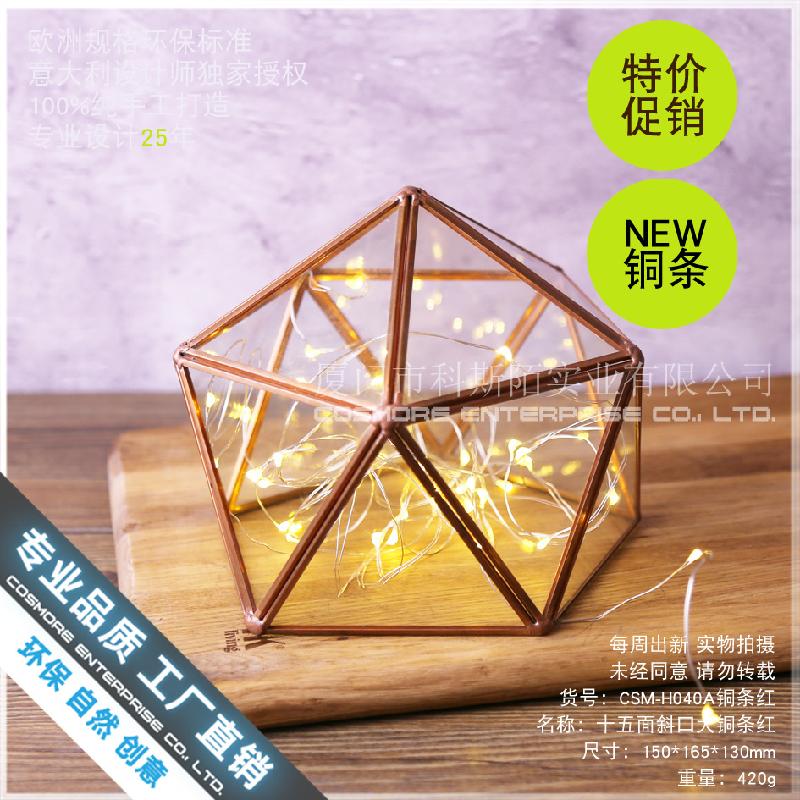 Chậu Đa Giác Nhà kính 15 mặt viền đồng, hoa bất tử (DG-166)