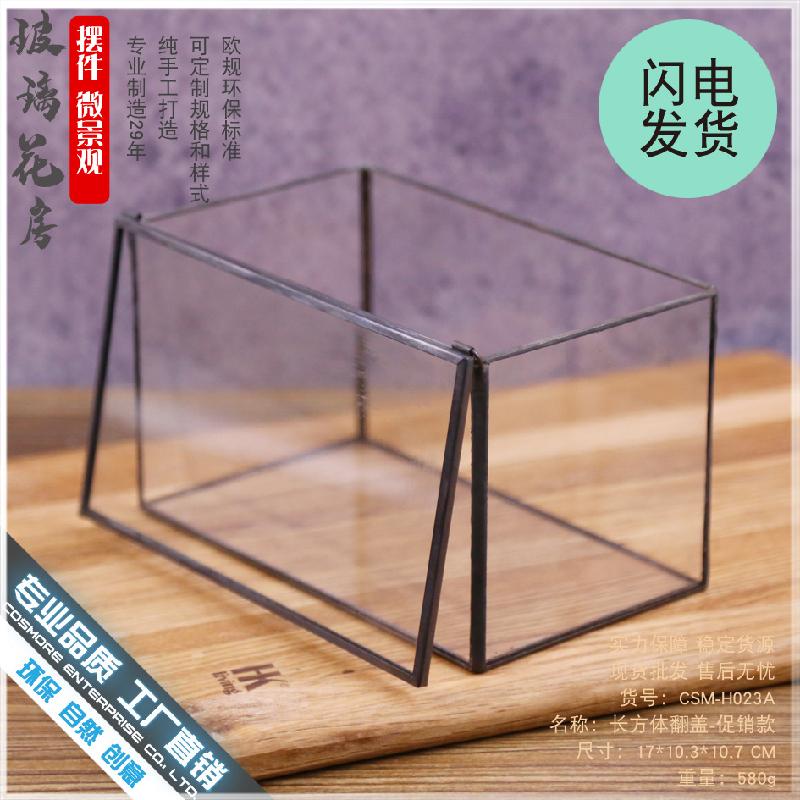 Chậu Đa Giác DG-9 Hộp nhỏ cảnh quan sinh thái bọt xanh tím