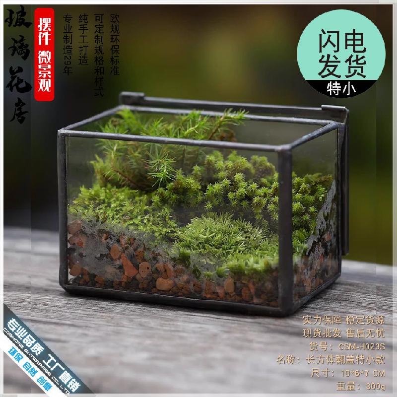 Chậu Đa Giác 植觉苔藓植物微景观玻璃盒子微缩造景生态瓶桌面盆栽家居摆件花盆