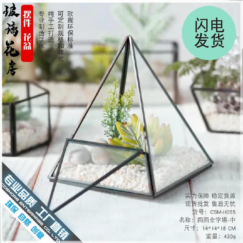 Chậu Đa Giác DG-63 Hoa vật cảnh nhỏ, cây cỏ đầy đủ, hộp kính với hình bốn mặt ngôi sao